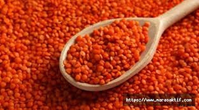 Şanlıurfa Ticaret Borsasında kırmızı mercimeğin kilogramı