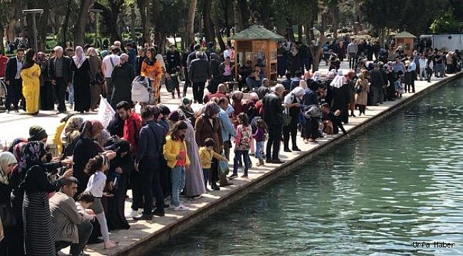 İşte, Urfalı gelinlerin ençok boşanma nedenleri