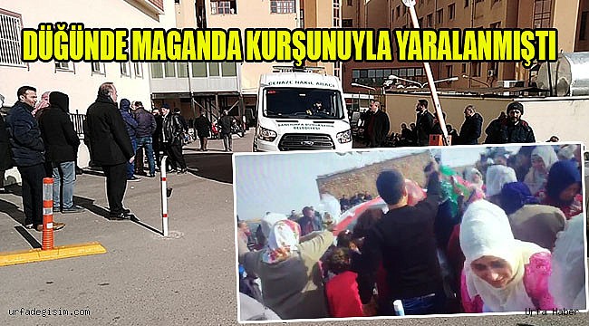 Urfa'lı Damat Maganda Kurbanı Oldu