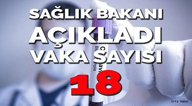 Türkiye'de Corona vaka sayısı 18 oldu