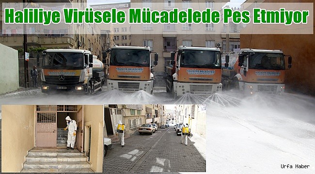 Haliliye Virüsele Mücadelede Pes Etmiyor