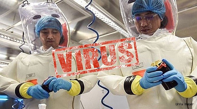İngiltere'den Virüsün Sebebi ABD ve Çin İddiası