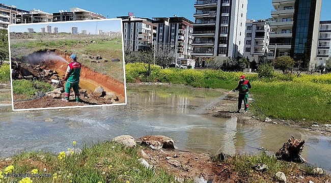 Karaköprü'de haşere ile mücadele sürüyor