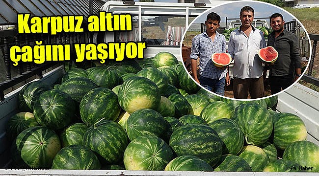 Karpuz üreticilerinin yüzü gülüyor