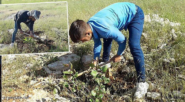 Orman köylülerine yeni gelir kapısı