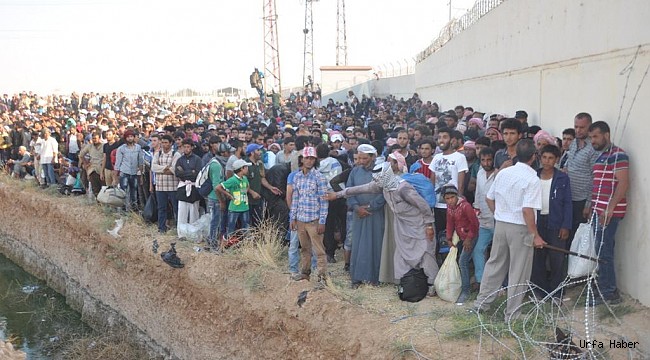 Suriyeli Girişimciler İçin Urfa'da Çalışma Başlatılıyor