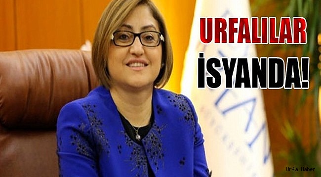 “Fatma Şahin’den rica edelim, gelsin bizi kurtarsın”
