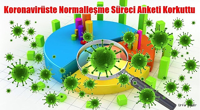 Koronavirüste Normalleşme Süreci Anketi Korkuttu