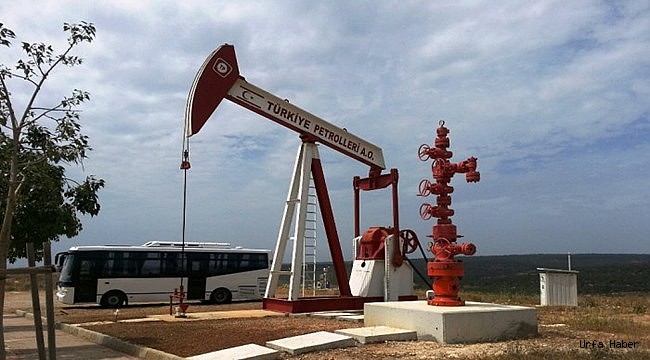 TPAO'ya 4 petrol arama ruhsatı verildi