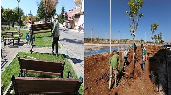 Haliliye'de yeni parklar yeşil ile buluşuyor