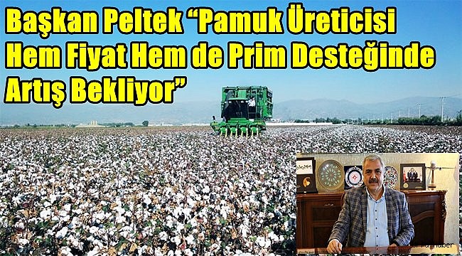 Urfa'da Pamuk Üretimi %39 azaldı