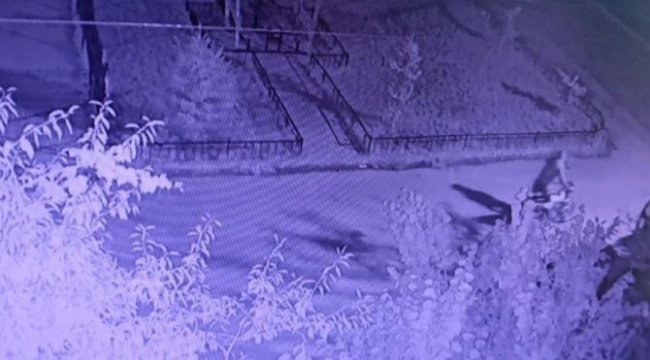 Bir gecede 8 motosiklet birden çaldılar