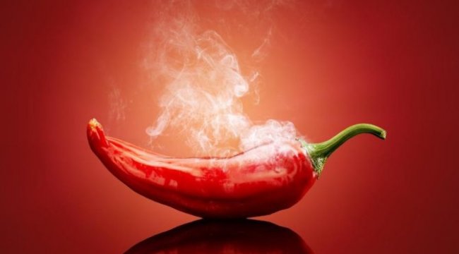 Acı İsot yemek ömrü dörtte bir oranında uzatıyor