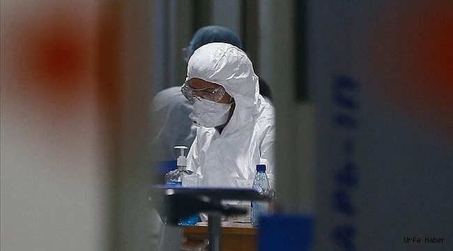 Urfa'da Mutasyonulu Virüs Görüldü