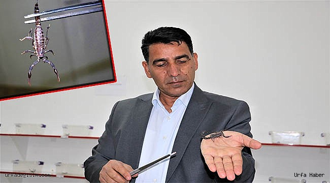 10 yaşından beri kara akreplerle yaşıyor