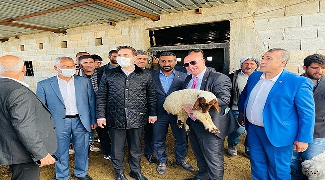 Gözaltınaki 35 Koyunu Meclis Kurtardı!