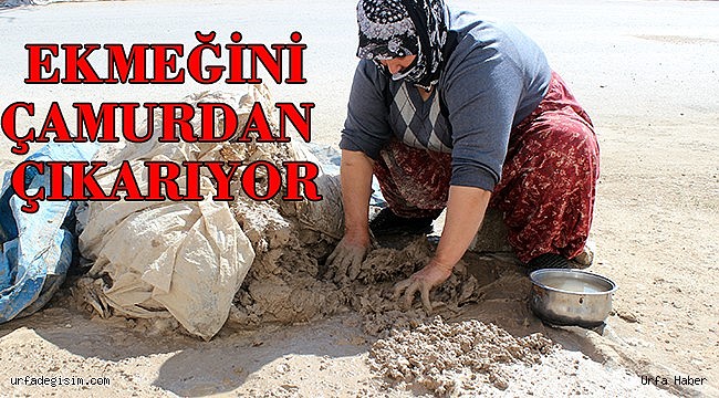 Hatay'da üretip Şanlıurfa'ya gönderiyor