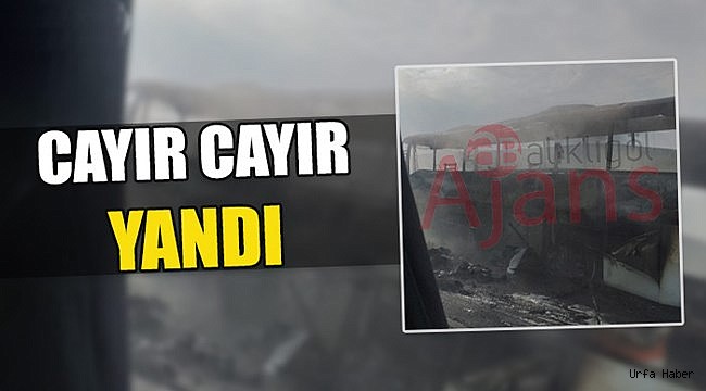 Şanlıurfa'da yolcu otobüsünde yangın