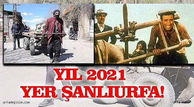Utandıran görüntü: Atların işini yaşlılar yapıyor