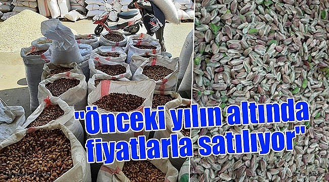 Fıstık fiyatları düşmeye devam ediyor