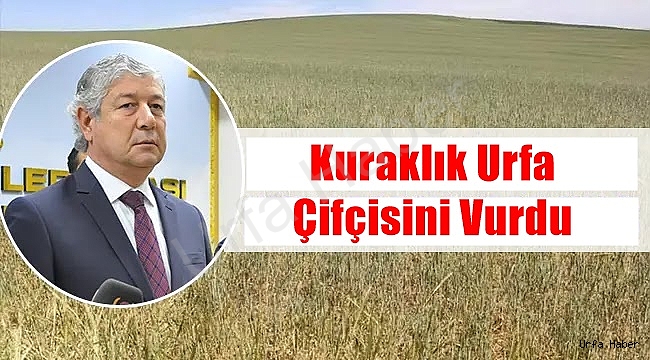 Kuraklık Urfa Çifçisini Vurdu