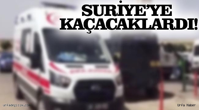 Siverek'teki kavgayla ilgili 4 kişi gözaltına alındı!