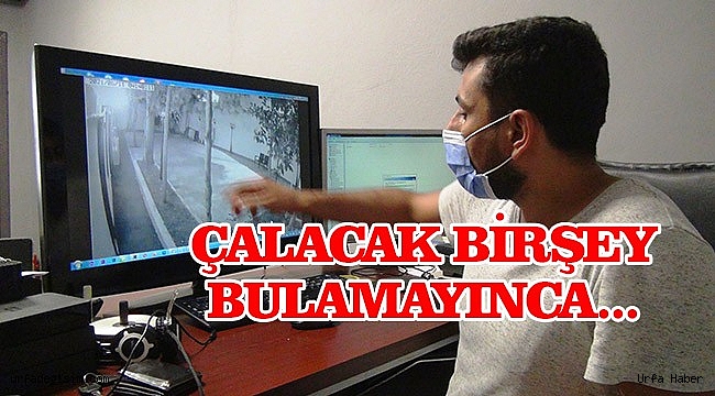 Yerel TV'ye Giren Hırsız Bıldırcın Çaldı!