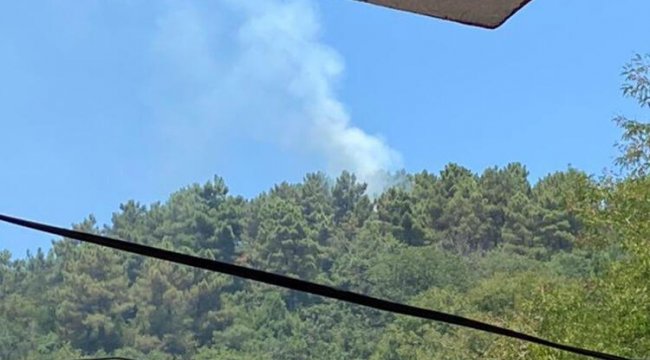 Son dakika... Ormanlık alanda yangın paniği