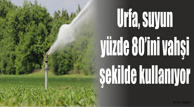 GAP’ta sürdürülebilir tarım tehlikede