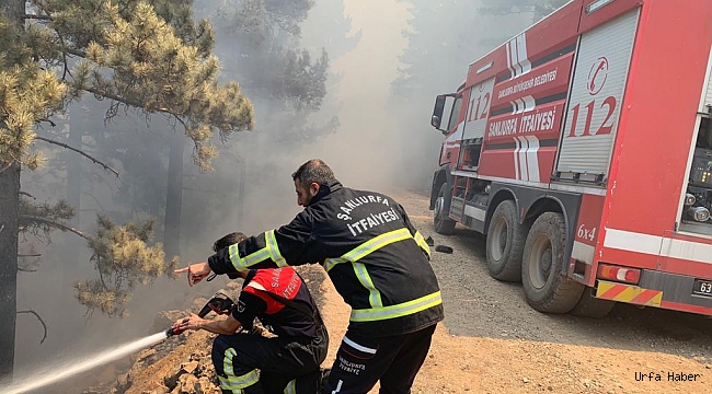 Şanlıurfa İtfaiyesi Destek İçin Bu Kez Manavgat’ta