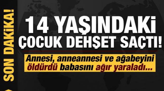 14 yaşındaki çocuk, annesi, anneannesi ve ağabeyini öldürdü!