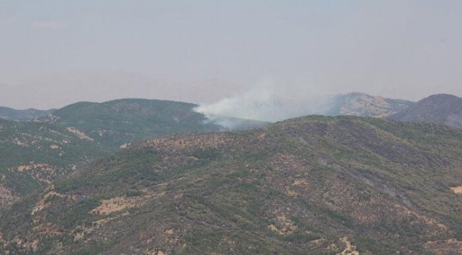 Tunceli'deki yangınlarda son durum!