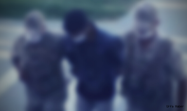 Şanlıurfa’da kavga çıkmıştı! Gözaltılar var