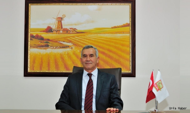 Buğday üretiminin geleceğini riske atılıyor