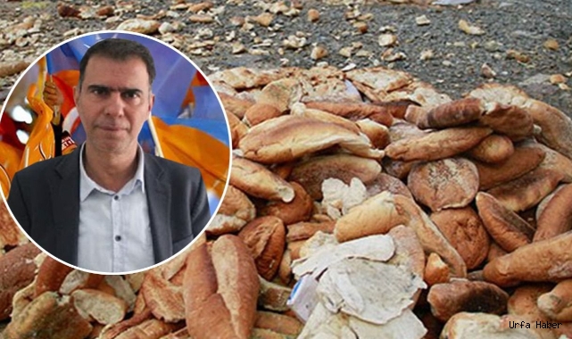 Ağaç: Çöplükten ekmek toplama iddiası yalan!