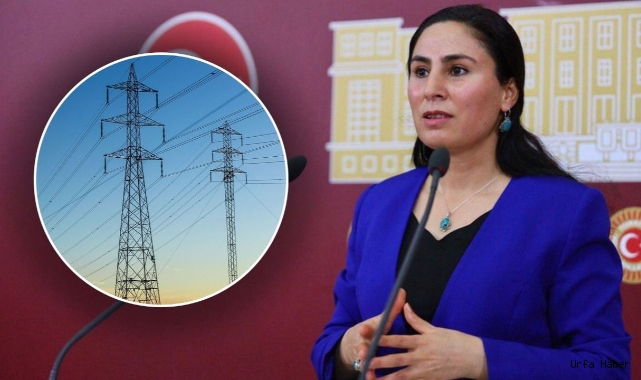 DEDAŞ'tan gelen açıklama Meclis gündemine girdi!