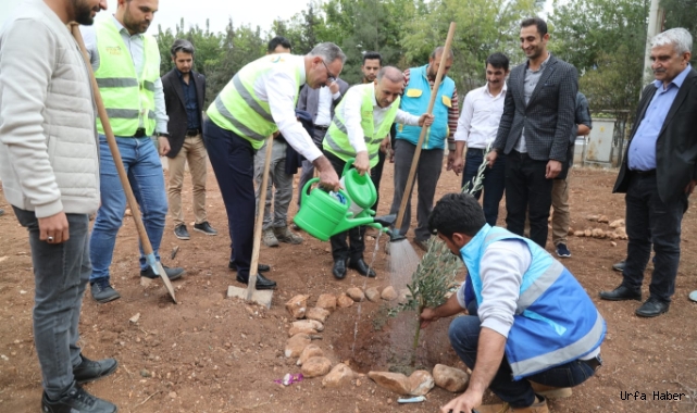 Eyyübiye’de ağaçlandırma seferberliği başladı