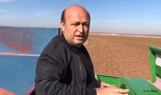 Gübresiz bir şekilde ekim yapılıyor!  
