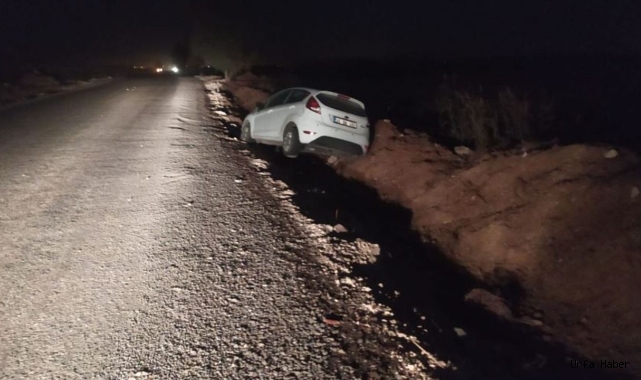 Harran’da araç şarampole uçtu!