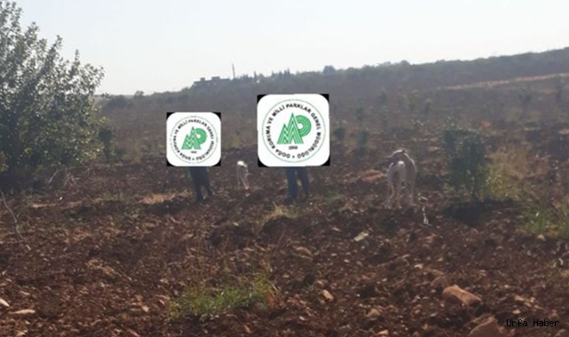 Urfa’da 2 kişi suçüstü yakalandı!