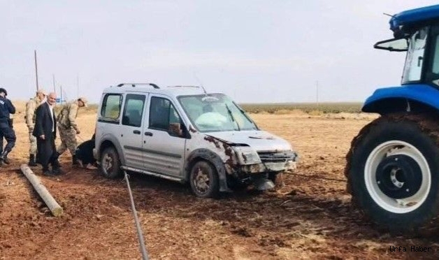 Urfa'da araç tarlaya uçtu:  Yaralılar var