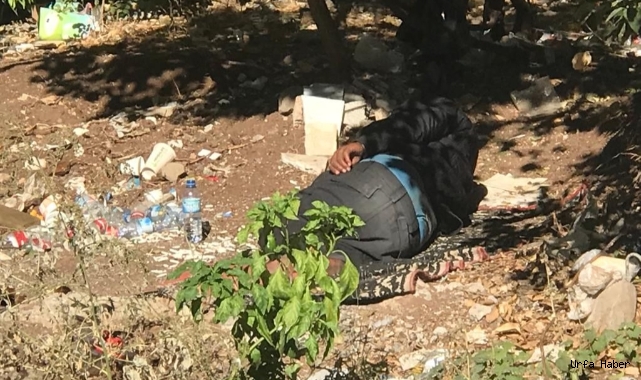 Urfa’da içler acısı manzara: Aylardır dışarda yatıyor!
