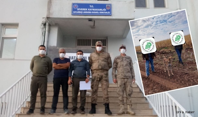 Urfa'da kaçak avlanan 3 kişi yakalandı