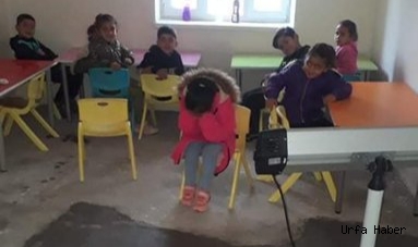  Vekil Tanal, Harran'daki görüntülere tepki gösterdi:  Bu ne hal!
