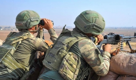 Barış Pınarı'nda etkisiz hale getirildiler!