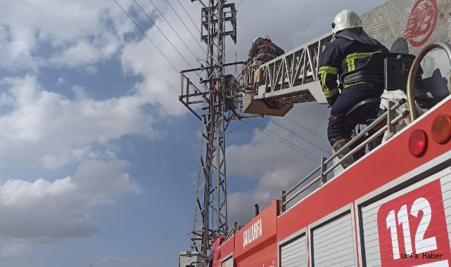  Urfa’nın ilçesinde  trafo yangını