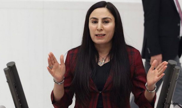 HDP’li Vekil Sürücü, Urfa'daki intiharları TBMM’ye taşıdı