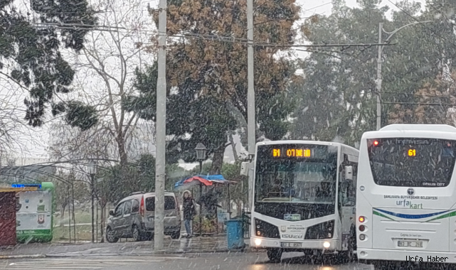 Şanlıurfa'da kar yağışı etkili oldu