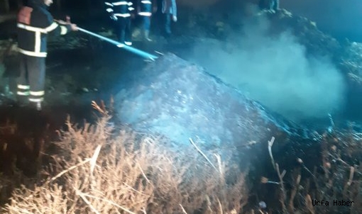 Şanlıurfa'da pamuk fabrikasında yangın çıktı