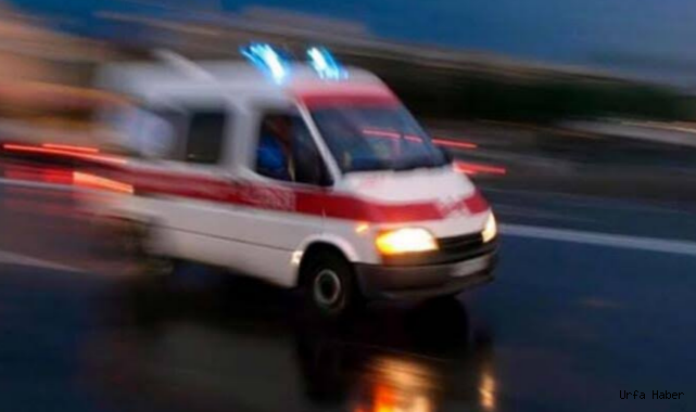 Urfa'da otomobil yoldan çıktı: 3 yaralı!